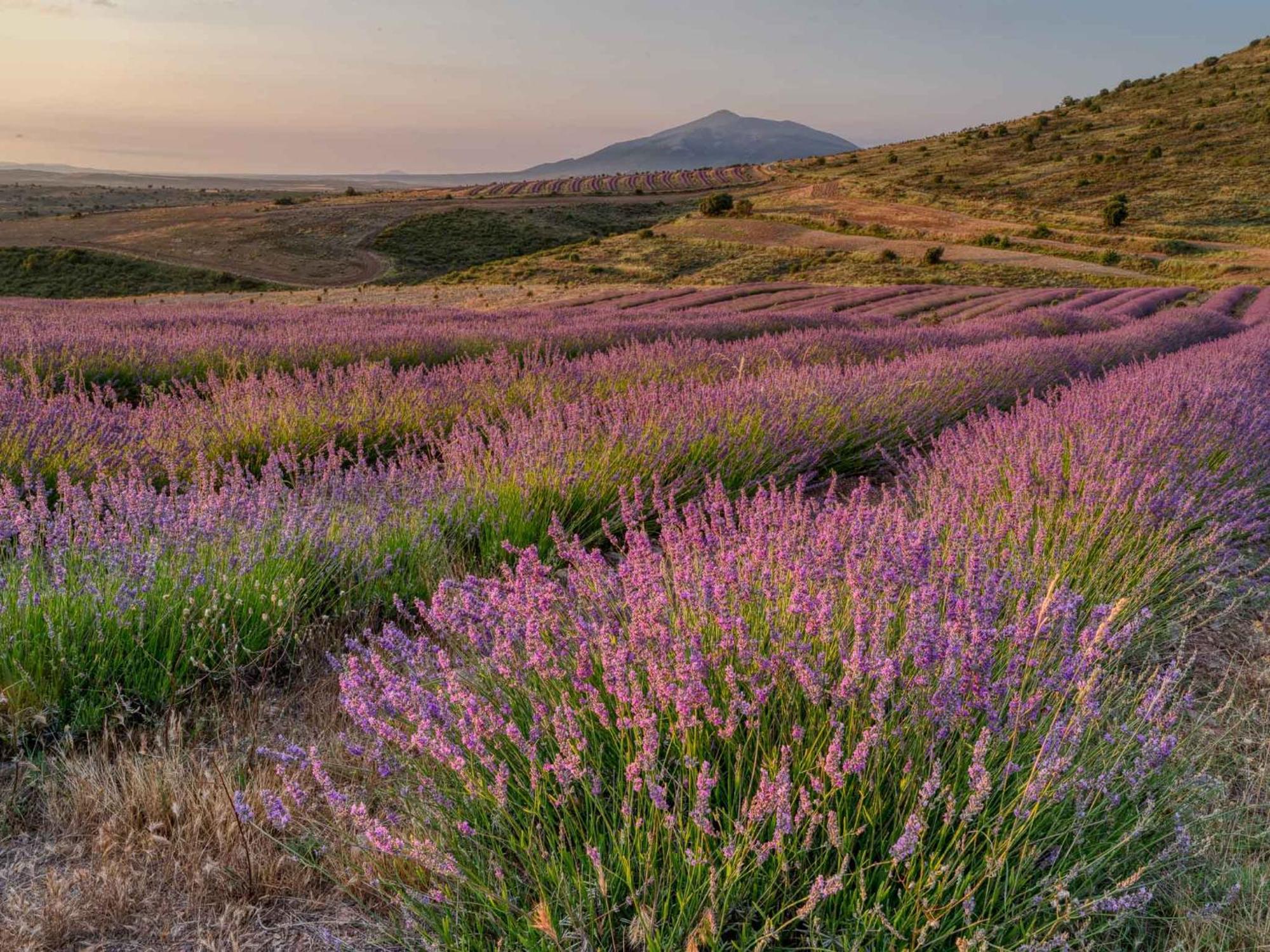 Las Abadias San Felices  Luaran gambar